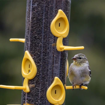 Hrănitori pentru păsări