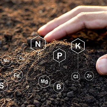 Îngrășăminte și condiționatori de sol