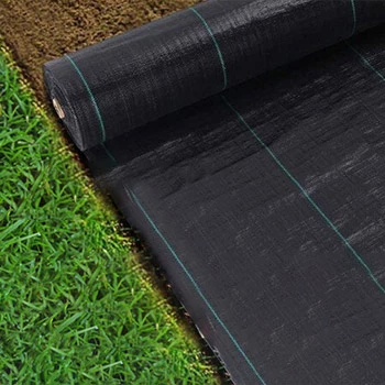 Protecție împotriva înghețului pe timp de iarnă