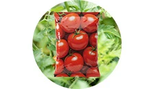 Semințe, ceapă, tuberculi