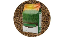 Semințe profesionale de iarbă