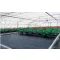 Ţesătură Agro negru 100g/m2 4,2x100 m