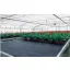 Ţesătură Agro negru 100g/m2 4,2x100 m