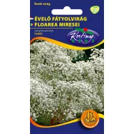 Floare veil alb Perenă 1g