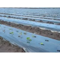   Folie TVK 12x45m 0,18 Neagră, protecţie UV pentru un an, S1F