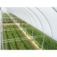 Folie TVK 12x60m 0,15 UV 2 ani S2N