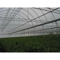 Folie TVK 16x45m 0,15 UV 1 ani S1N