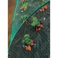 Plasă de pasăre Birdnet HDPE 2x10m (19x19mm)