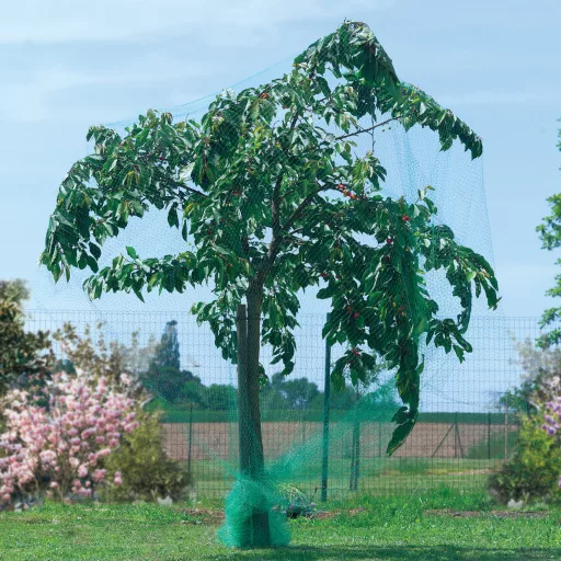 Plasă de pasăre Birdnet HDPE 2x50m (19x19 mm)