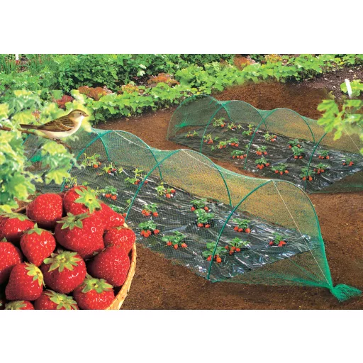 Plasă de pasăre Birdnet HDPE 2x50m (19x19 mm)