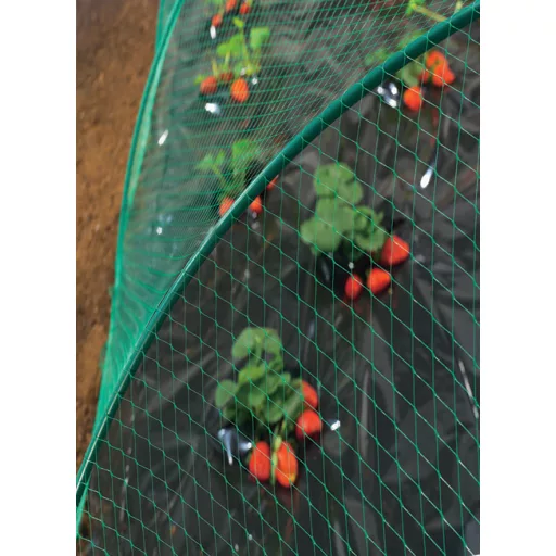 Plasă de pasăre Birdnet HDPE 2x50m (19x19 mm)