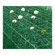 Plasă de susținere de plante 15x15x500m (lățime 1.2m )