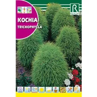 Chiparos de vară (Kochia tricophylla) Rocalba 8 g