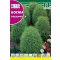 Chiparos de vară (Kochia tricophylla) Rocalba 8 g