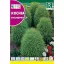 Chiparos de vară (Kochia tricophylla) Rocalba 8 g