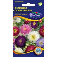 Aster amestec de culoare Prinzess  1 g