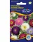 Aster amestec de culoare Prinzess  1 g