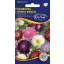 Aster amestec de culoare Prinzess  1 g