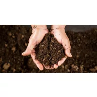 Analiză probelor de sol