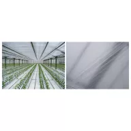 Folie TVK 11x100m 0,06 Interioară UV fără scurgeri  S1BC