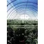 Folie TVK 16x45m 0,15 UV 2 ani S2N
