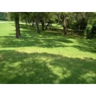 Semințe de iarbă ELKA amestec de reânnoire 10 kg