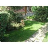 Semințe de iarbă ELKA amestec de umbră 10 kg