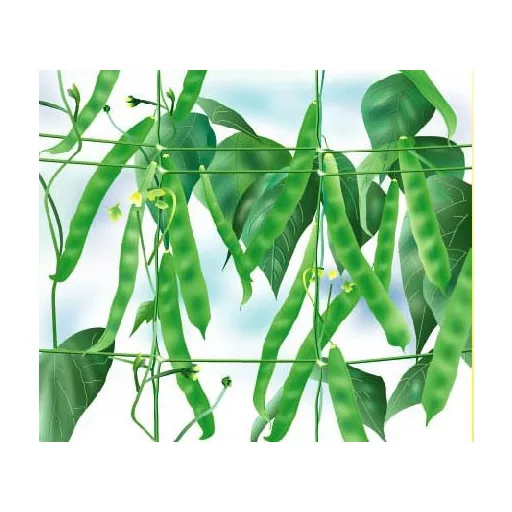 Plasă de susținere de plante 17x10x100m (lățime 1,7m )