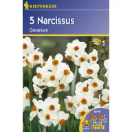 Narcis Geranium Kiepenkerl 5 buc