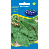 Măcriș Pallagi cu frunze mari 3g