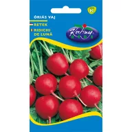 Ridiche uriașă de lună 3g