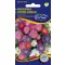 Steluţe de toamnă (Aster) tufiş, amestec de culori 1 gr