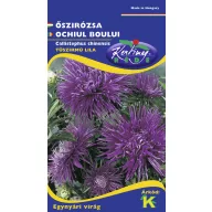   Steluţe de toamnă (Aster) cu petale subţiri ca acele, albastru 1 gr