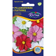 Fluturaş (Cosmos bipinnatus) amestec de culori 1 gr