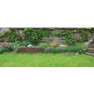 Separator gazon Wilborder 0,31x1 m