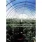 Folie TVK 16x52m 0,19 UV 4 ani S4N