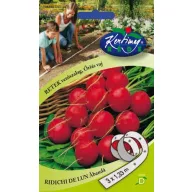 Bandă cu semințe Ridichi uriașe 3x1,33 m