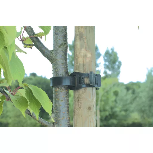 Clemă de cauciuc pentru fixarea trunchiului de copac 60 cm