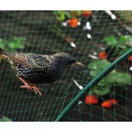Plasă de pasăre Birdnet HDPE 2x5m (19x19 mm)