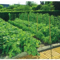 Plasă de susținere de plante17x10x20m (lățime 1,7m )