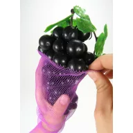Plasă de protecție împotriva viespilor 50pcs