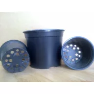 Ghiveci plastic 14 cm P145109V