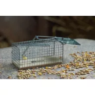 Capcană vie pentru șobolan