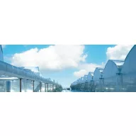   Folie Ginegar 10x100 m 0,08 UV 1 an, anti-picurare, thermo AD IR