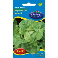 Salată Téli vajfej 2,5g