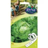 Bandă cu semințe Salată de căpățână Lento 3x1,33 m