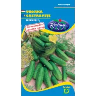 Castravete (conservă) Megyer F1 2g