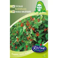 Fasole urcătoare Rotblühende 50g