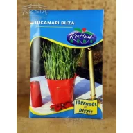 Grâu de ziua Sfintei Lucia 50g