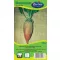 Sfeclă furajeră roz Beta 100g